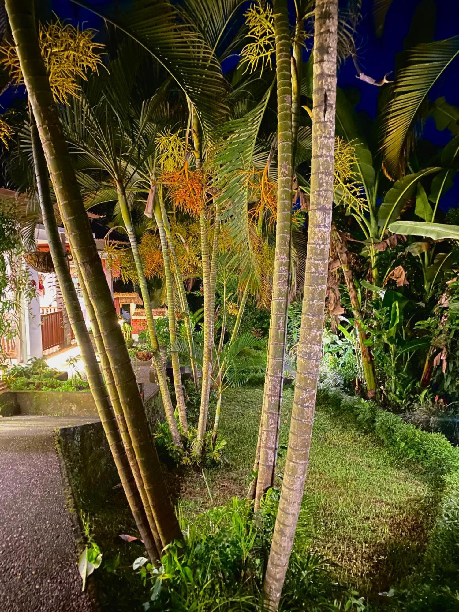 Ardan Maison Ubud Exterior foto